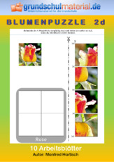 Blumenpuzzle_2d.pdf